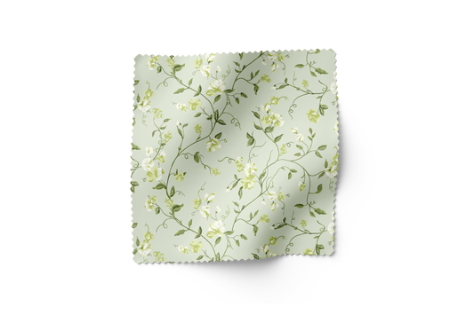 Vera - Limelight (F)