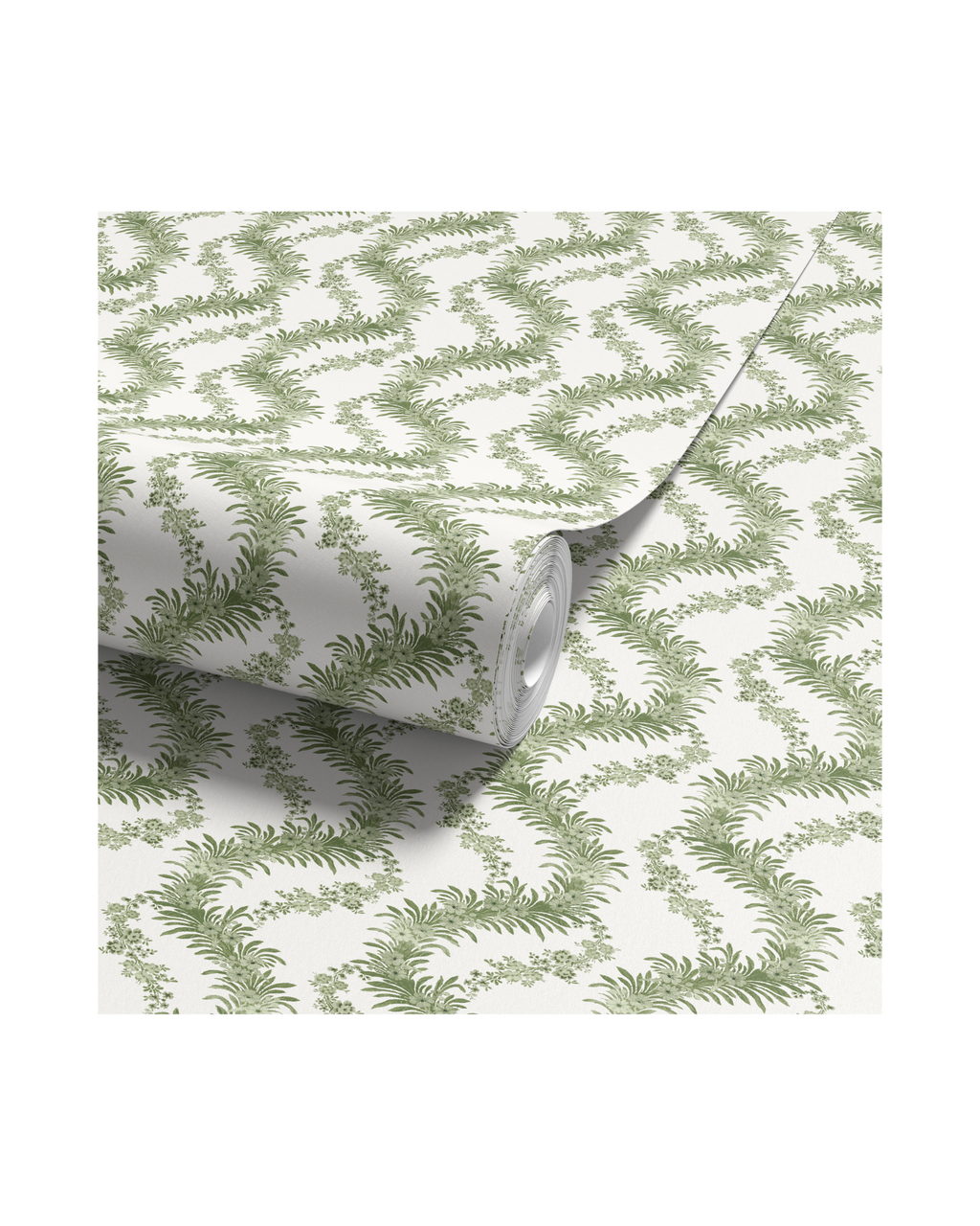 Climbing Fern - Lawn (WP)