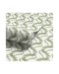 Climbing Fern - Lawn (WP)