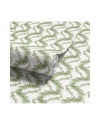 Climbing Fern - Lawn (WP)