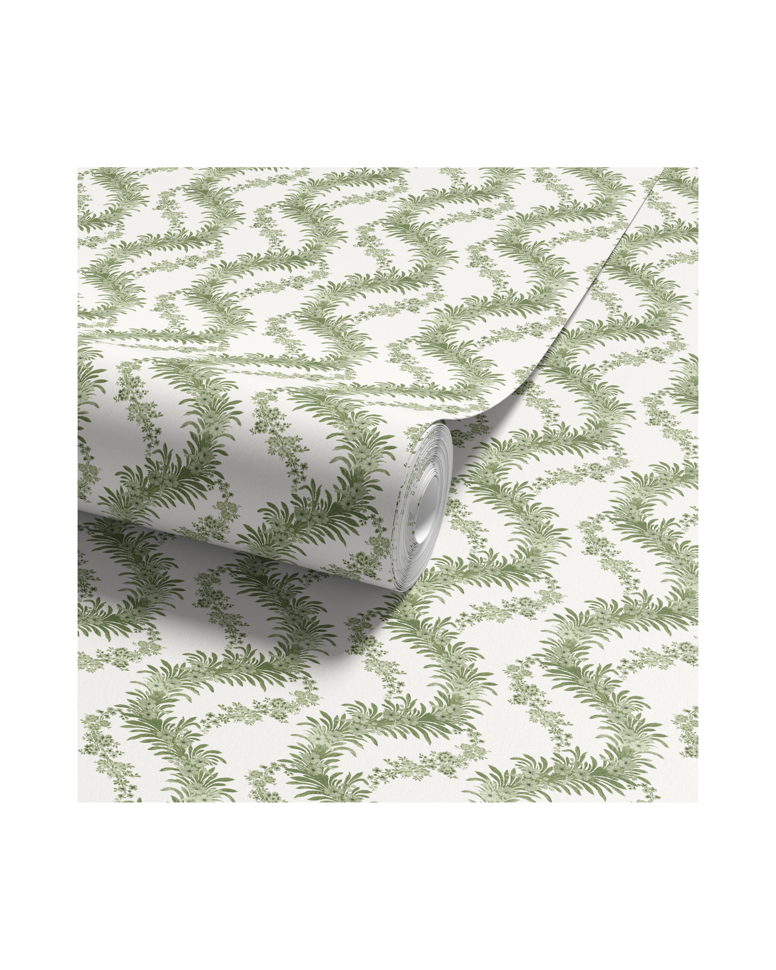 Climbing Fern - Lawn (WP)