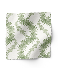 Climbing Fern - Lawn (F)