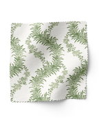 Climbing Fern - Lawn (F)
