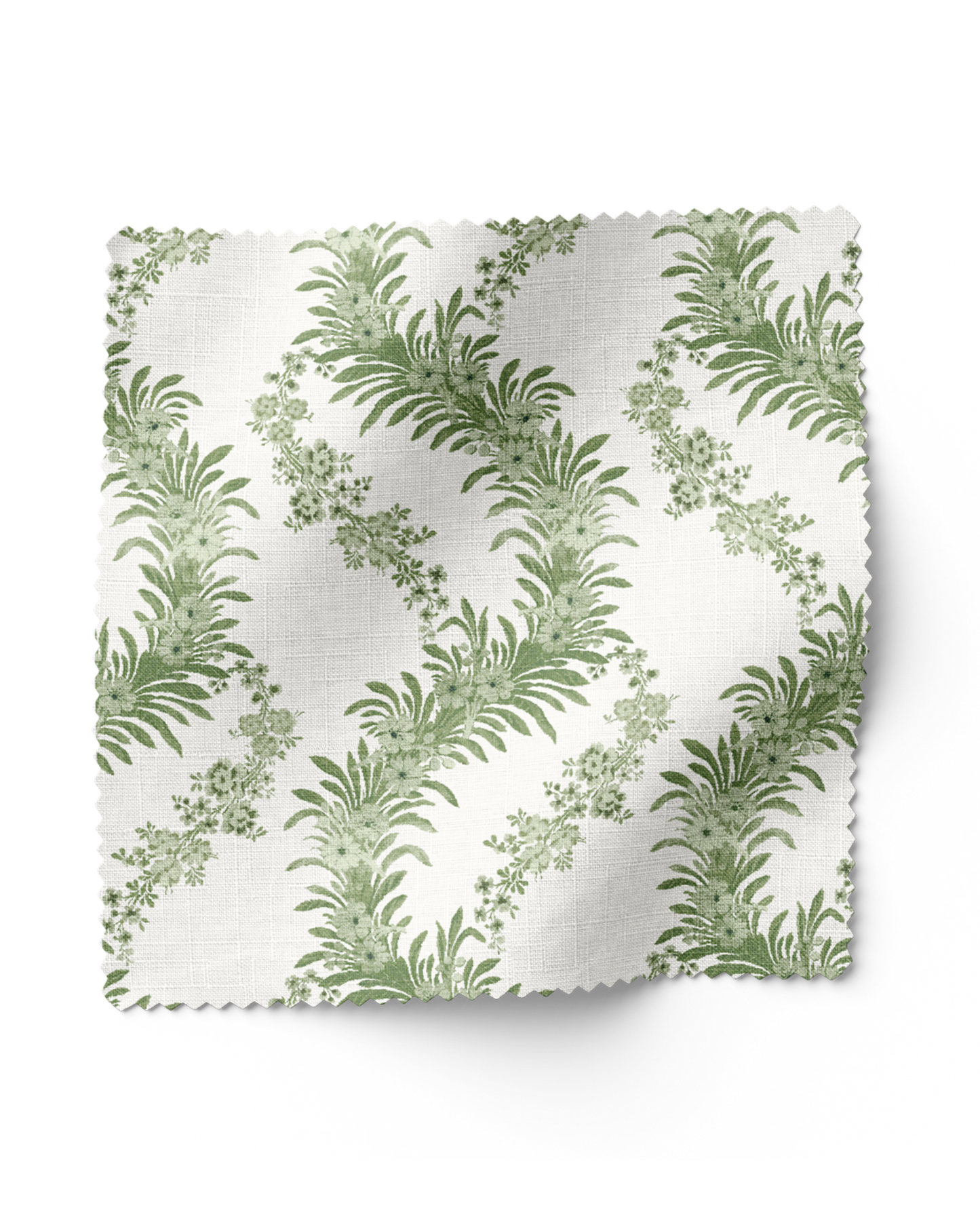 Climbing Fern - Lawn (F)