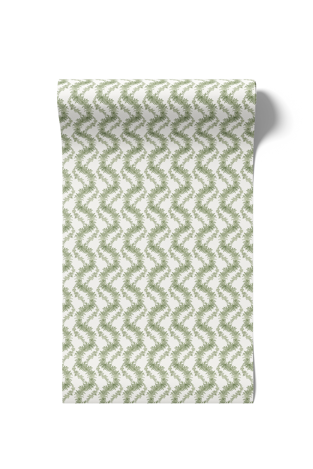 Climbing Fern - Lawn (WP)