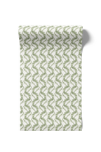 Climbing Fern - Lawn (WP)