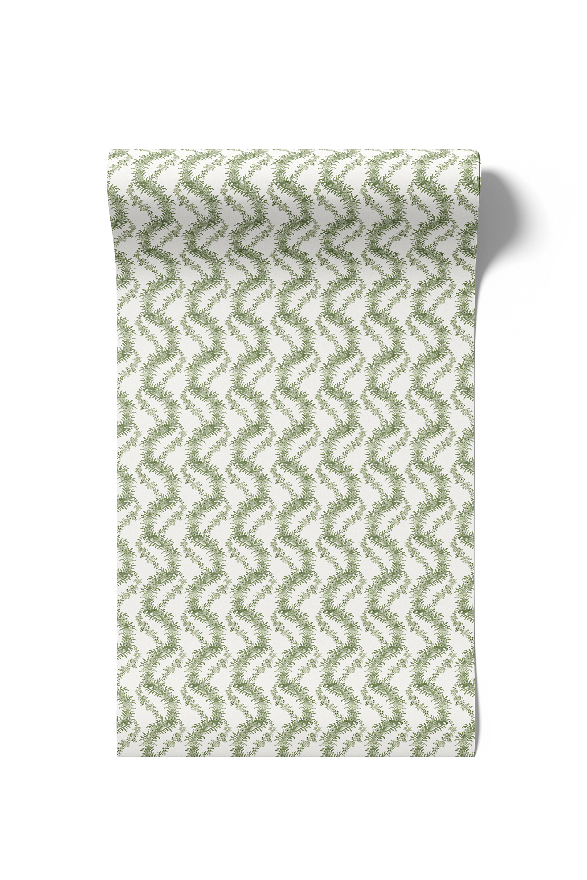 Climbing Fern - Lawn (WP)