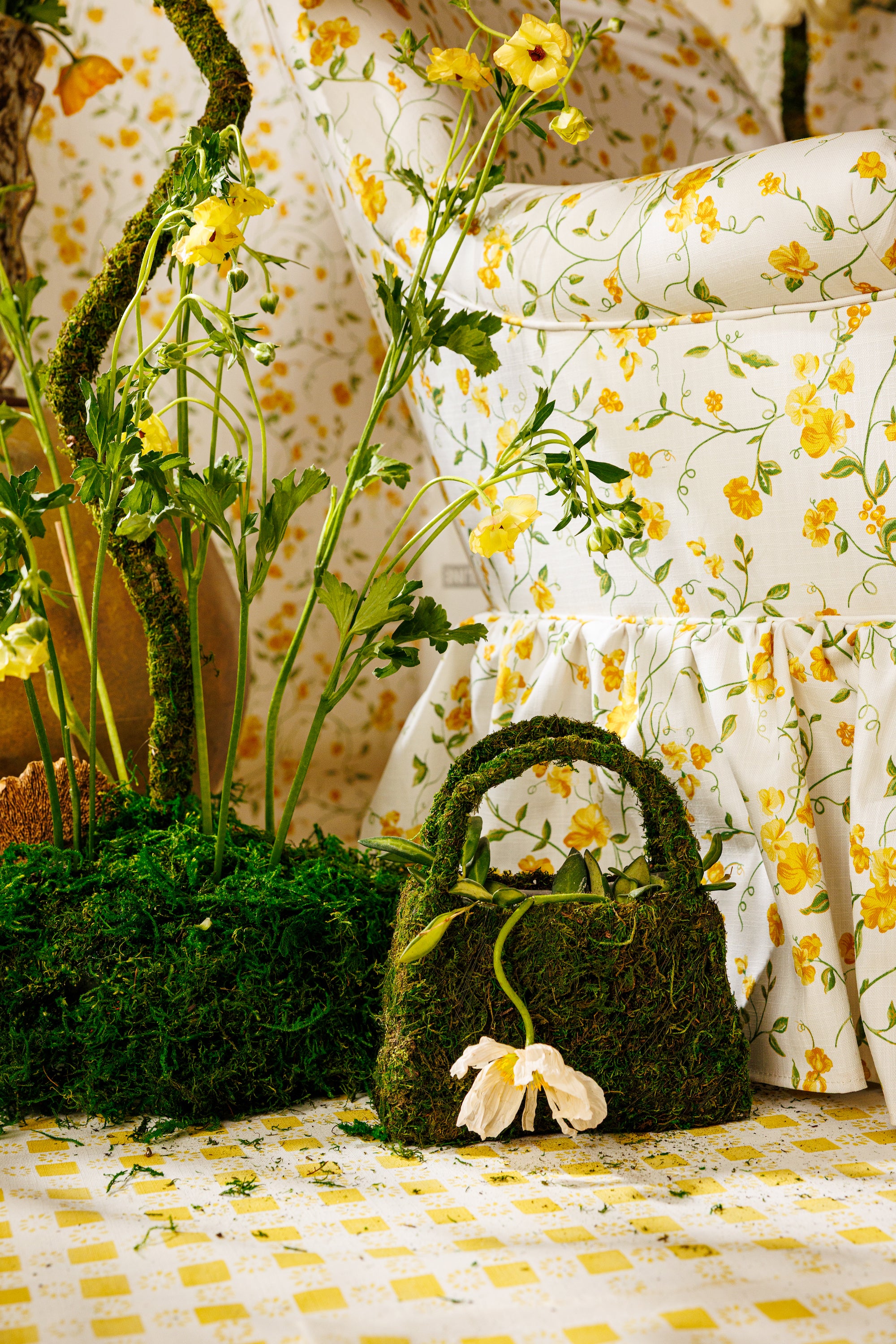 Vera - Buttercup (WP)