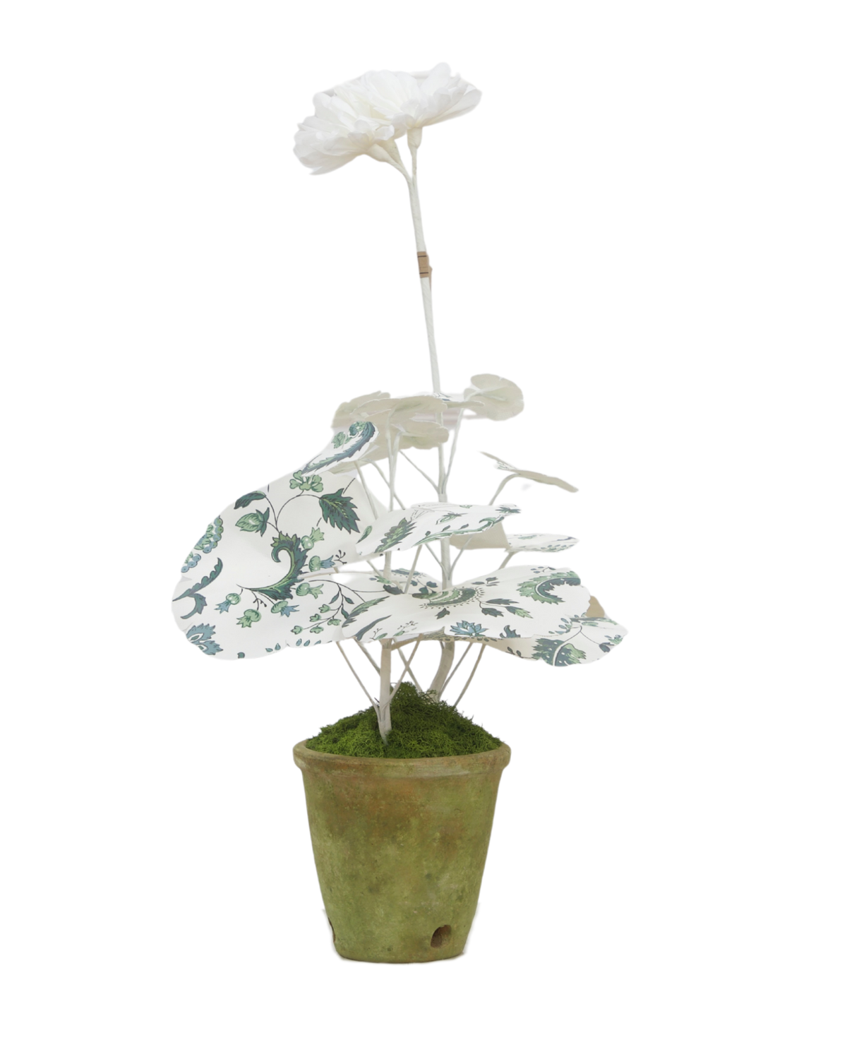 Mini Geranium with Indienne Jardin Verdant Leaves
