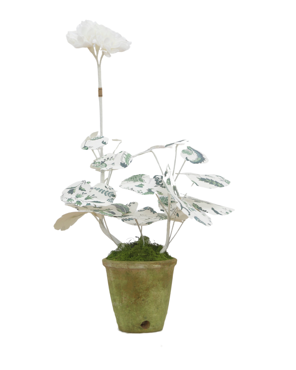 Mini Geranium with Indienne Jardin Verdant Leaves