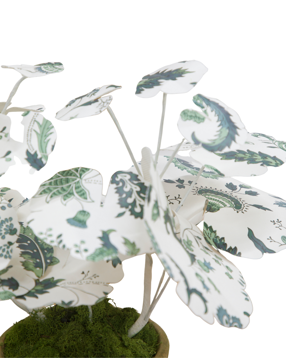 Mini Geranium with Indienne Jardin Verdant Leaves