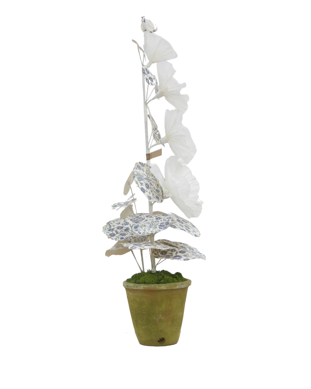 Hollyhock with Indienne Chintz Indigo Leaves