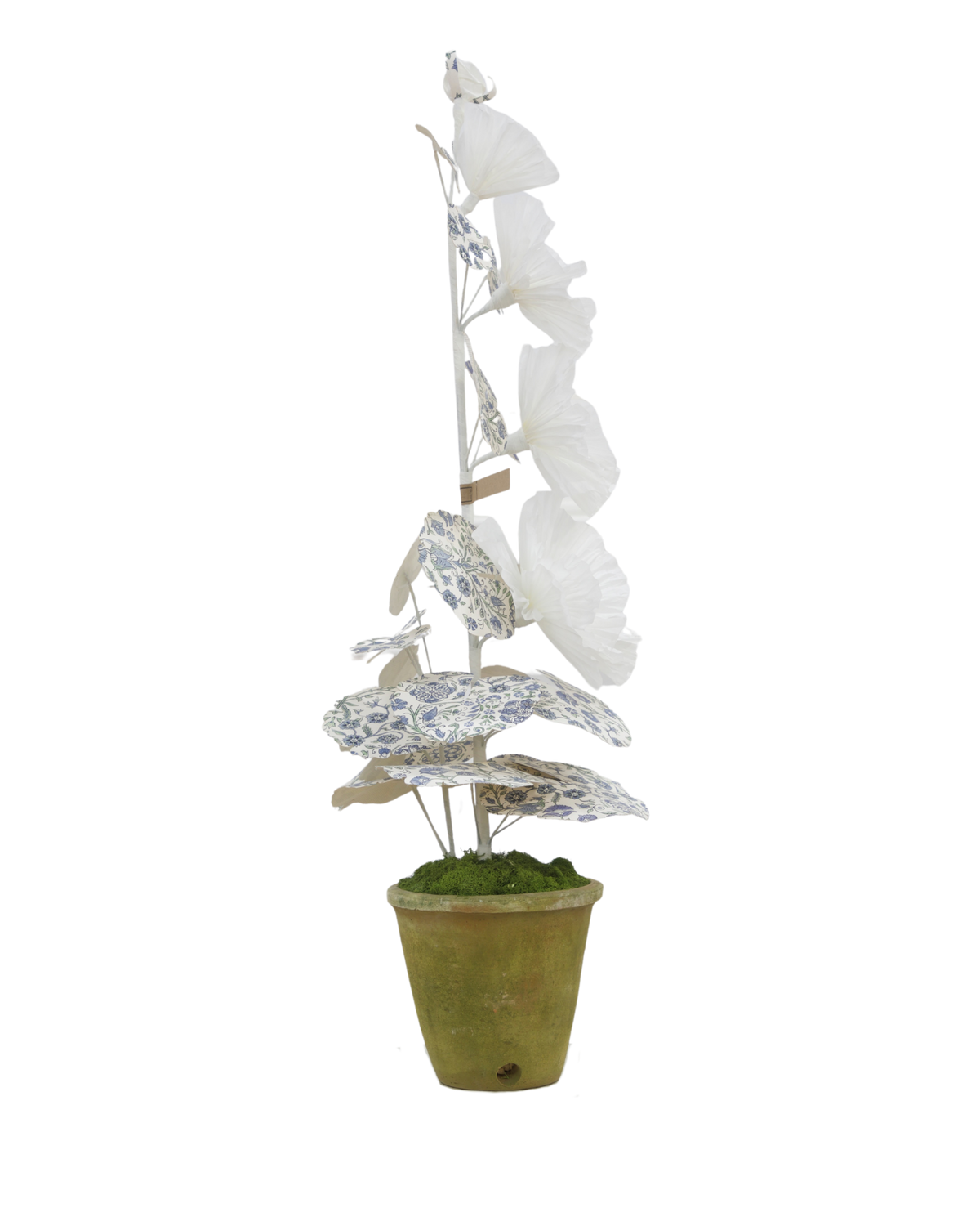 Hollyhock with Indienne Chintz Indigo Leaves