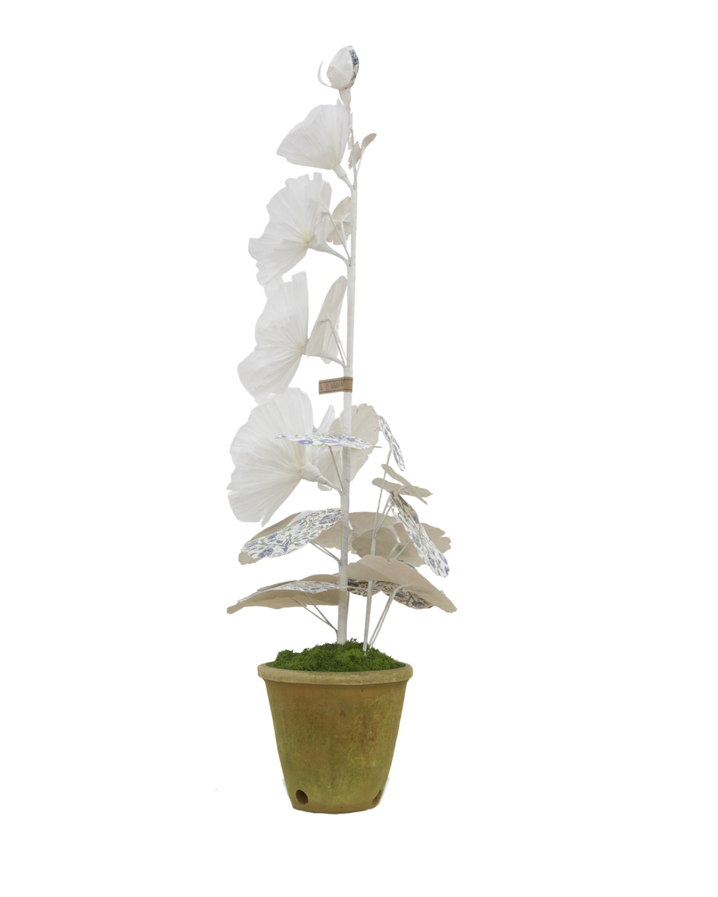 Hollyhock with Indienne Chintz Indigo Leaves