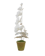 Hollyhock with Indienne Chintz Indigo Leaves