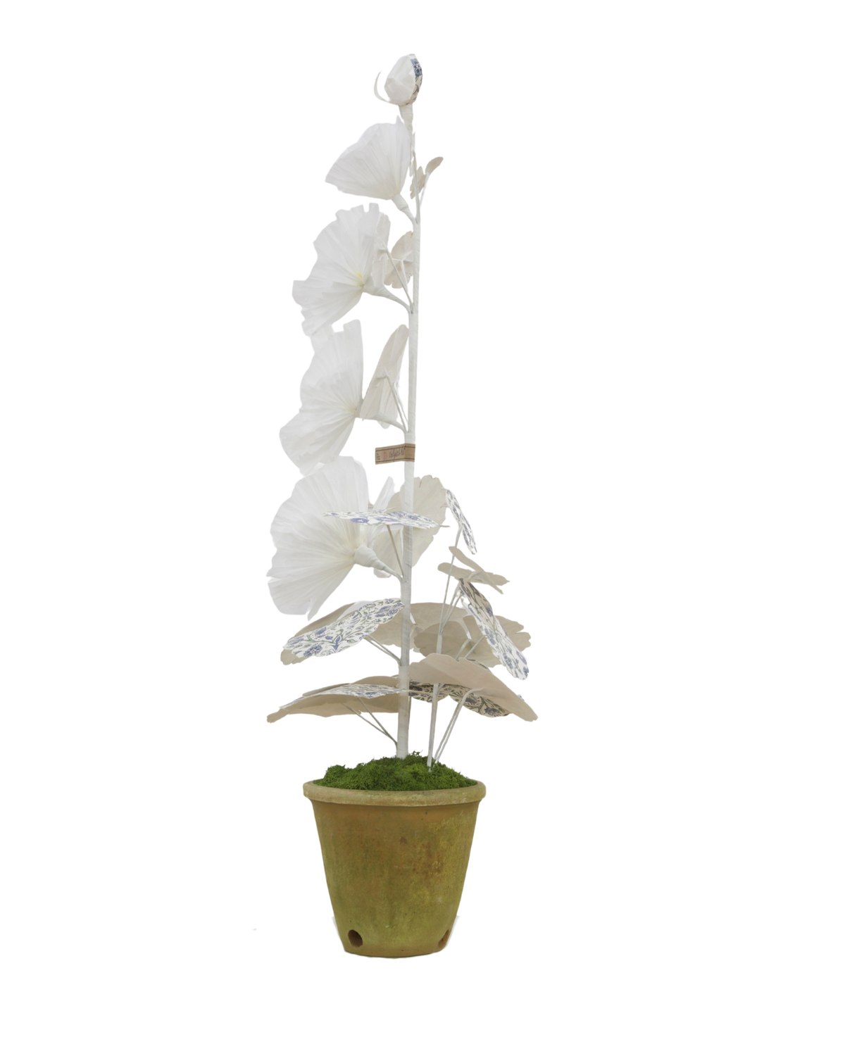Hollyhock with Indienne Chintz Indigo Leaves