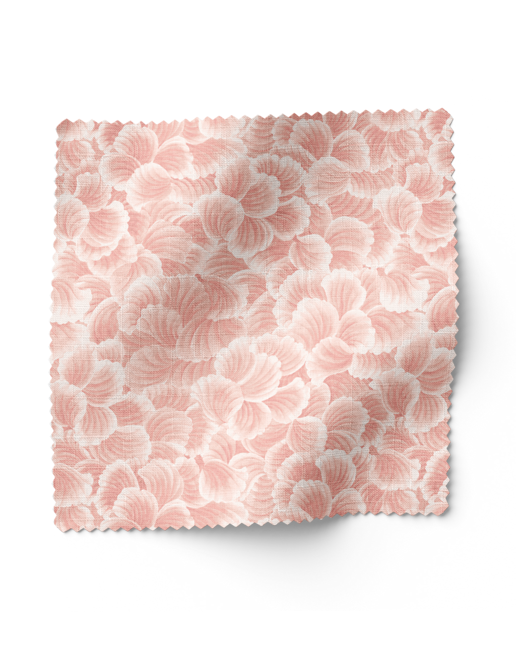 Seafarer Shell - Coral (F)