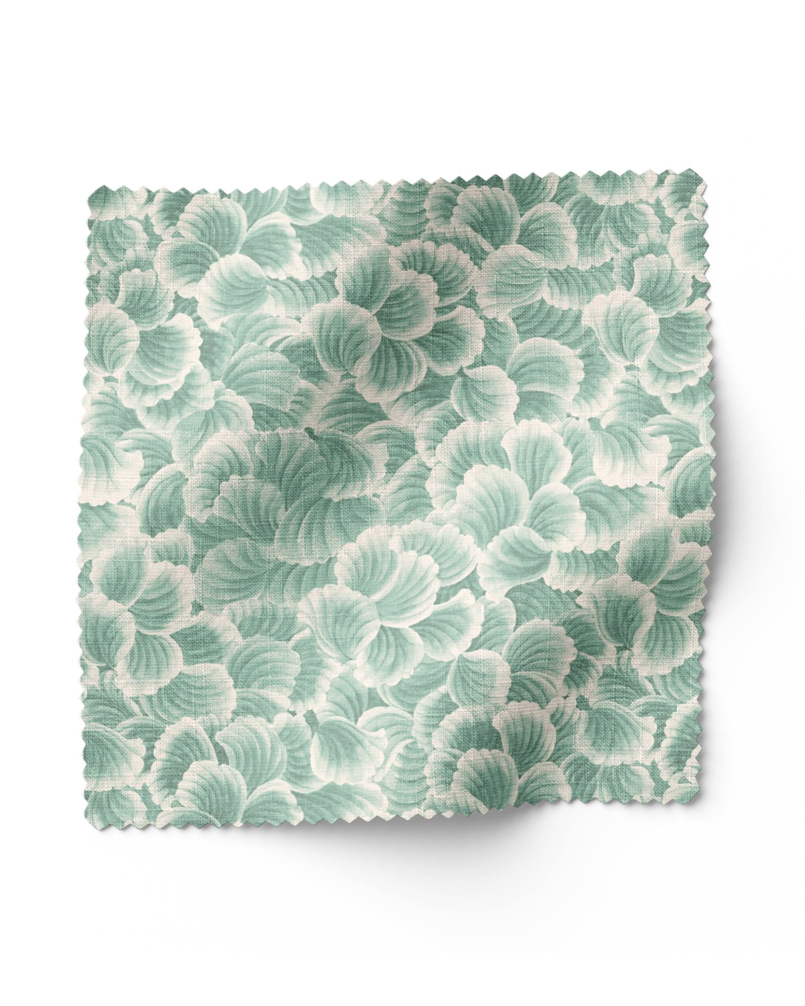 Seafarer Shell - Seaglass (F)