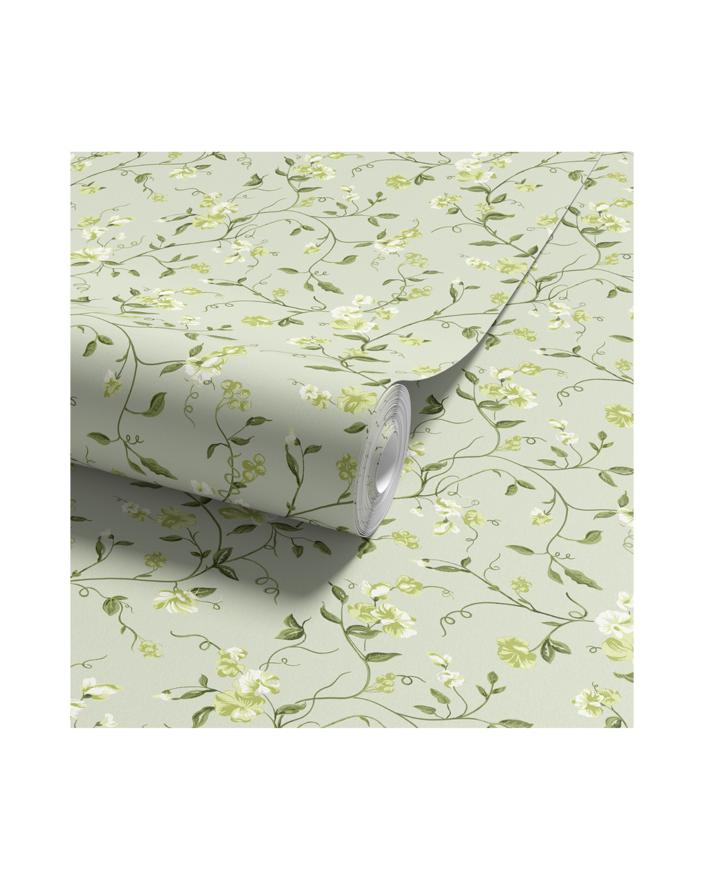Vera - Limelight (WP)
