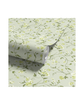 Vera - Limelight (WP)