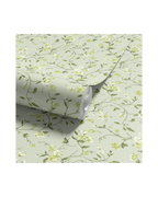 Vera - Limelight (WP)
