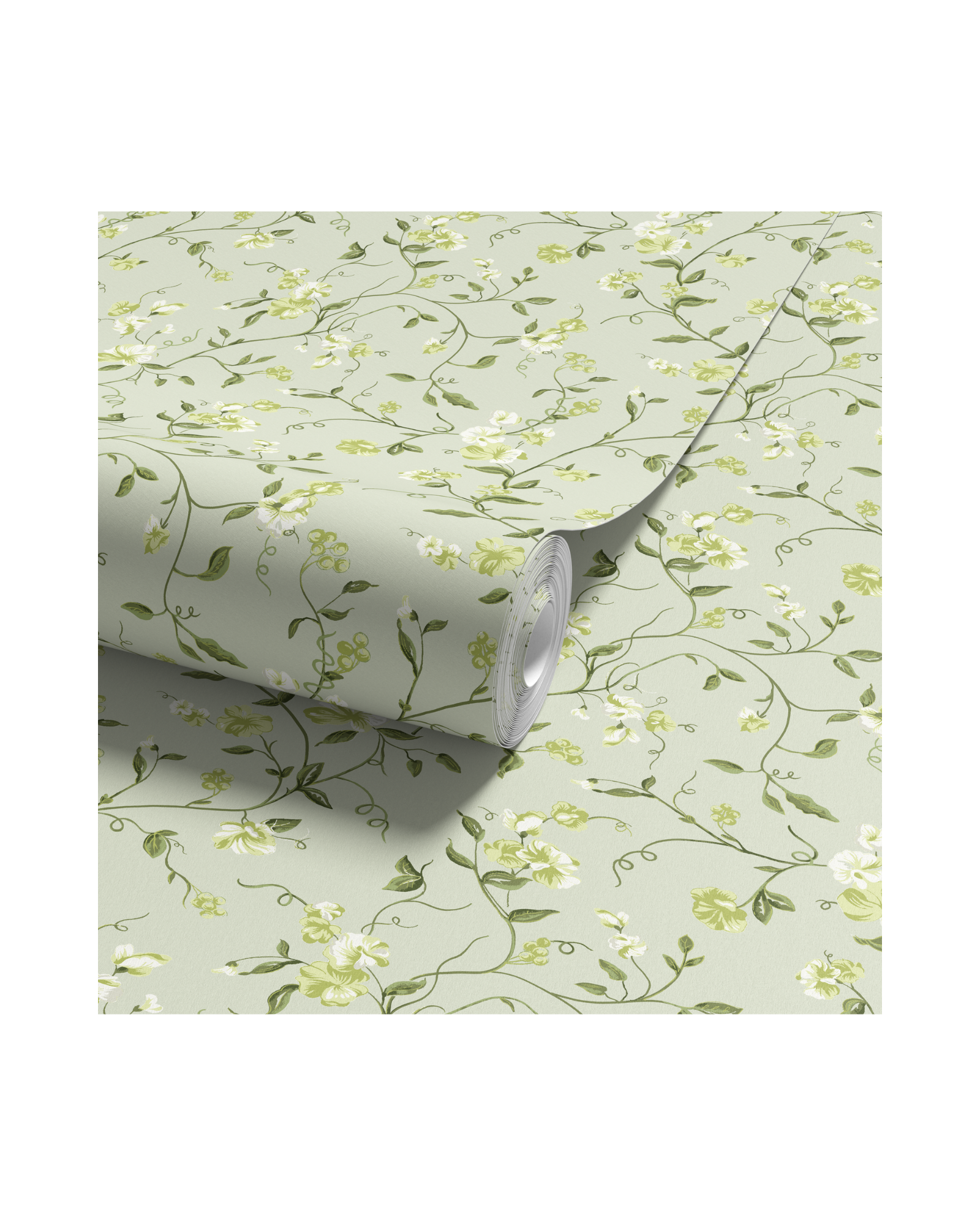 Vera - Limelight (WP)