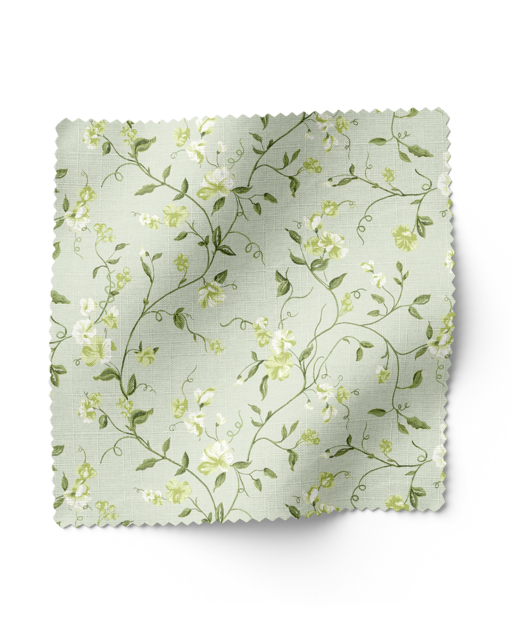 Vera - Limelight (F)
