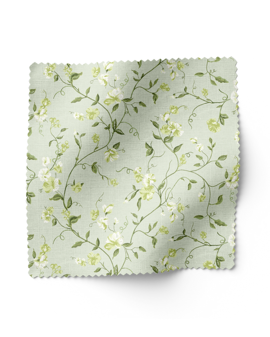 Vera - Limelight (F)
