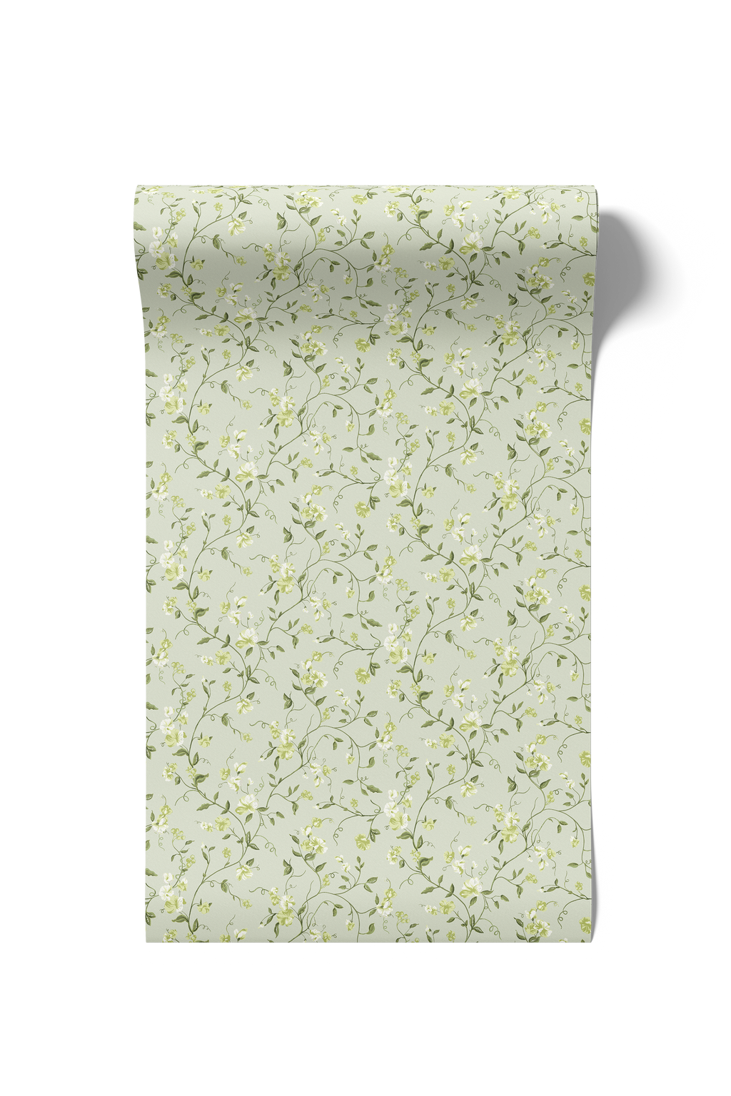 Vera - Limelight (WP)