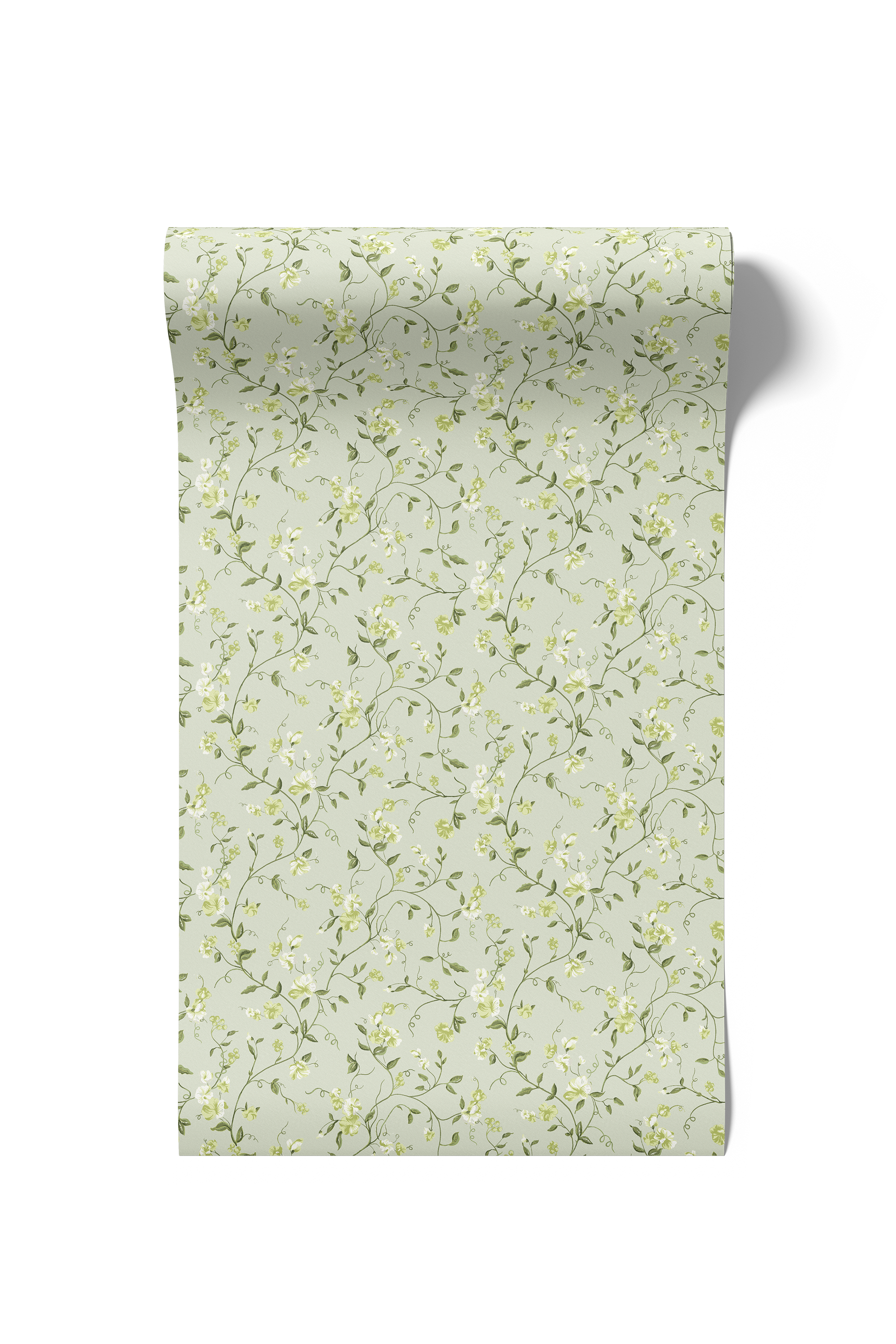 Vera - Limelight (WP)